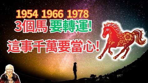 1966年生肖2023運程|1966年屬馬的人2023年運程